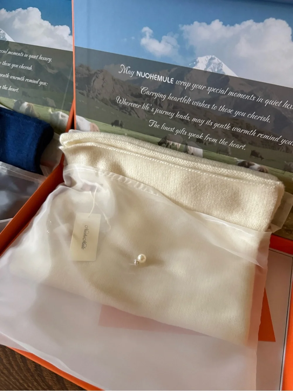N/A cashmere scarves